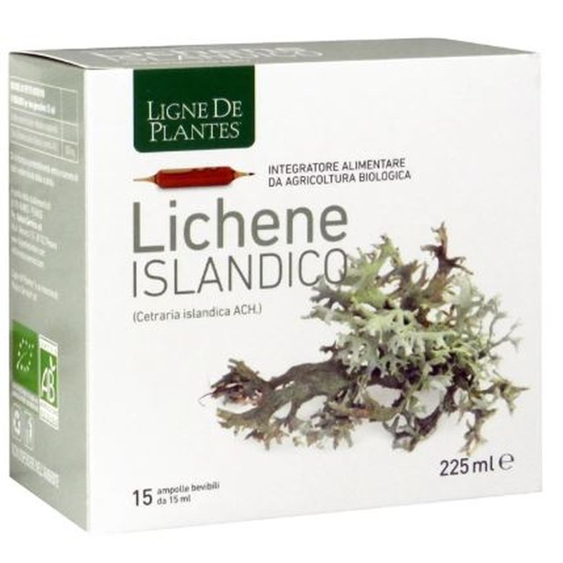 Lichene-Islandico-15-Ampolle-Natura-Service