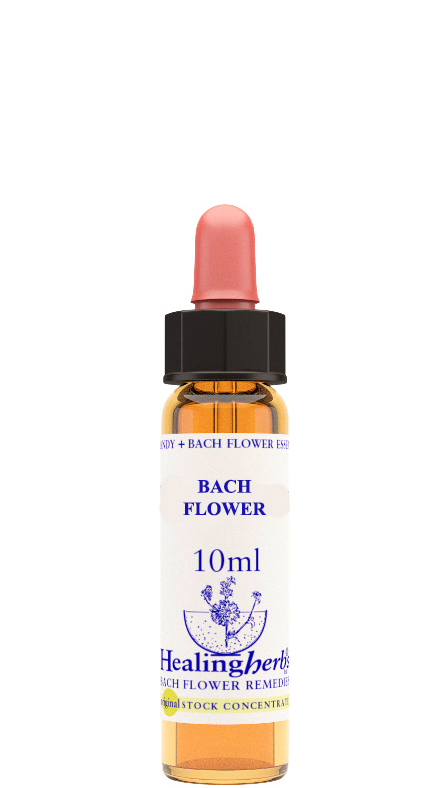 fiori-di-bach-nr3-beech-10ml